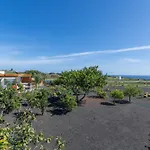 El Alcaidon Tias